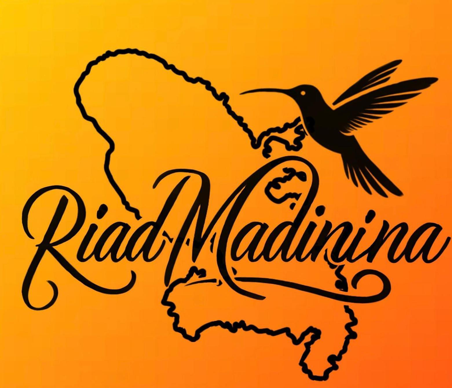 Riad Madinina Marrákes Kültér fotó